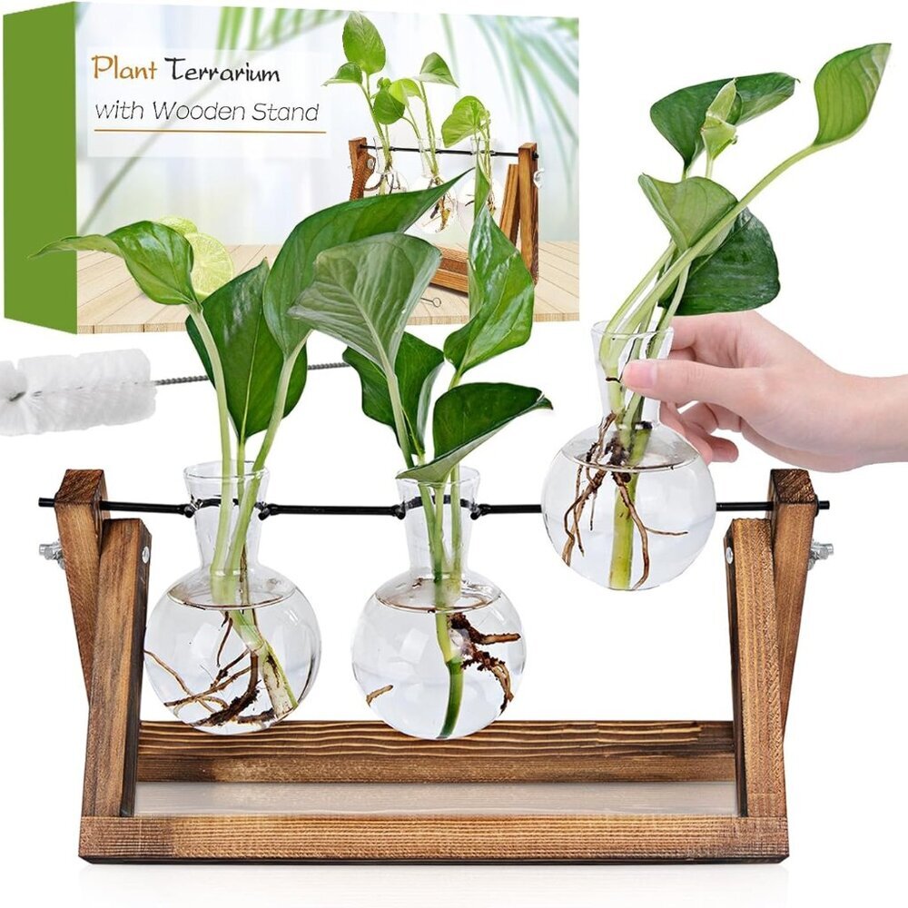 Plant Propagation Station, Plant Terrarium With Wooden Stand, Unique Gardening B